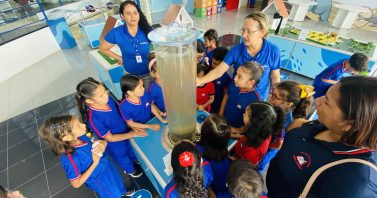 Fonte do Saber abre agenda de 2026 para visitas gratuitas voltadas à educação ambiental